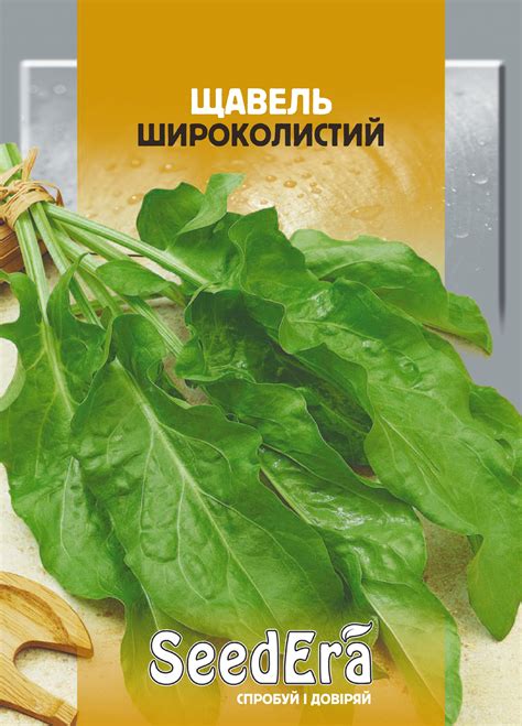 Щавель Широколистий - Овочі - Сімейний Сад