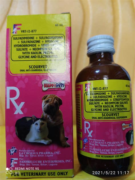 Can You Give Dogs Diarrhea Medicine