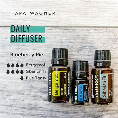 Can Be Ignored Belly Major Siberian Fir Doterra Diffuser Blends