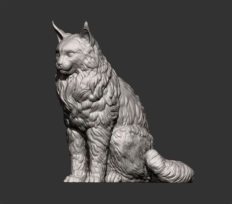 Maine Coon 3d Model 3d Printable Cgtrader