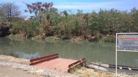 Mitos Buaya Putih Penjaga Lawang Sanga Cirebon