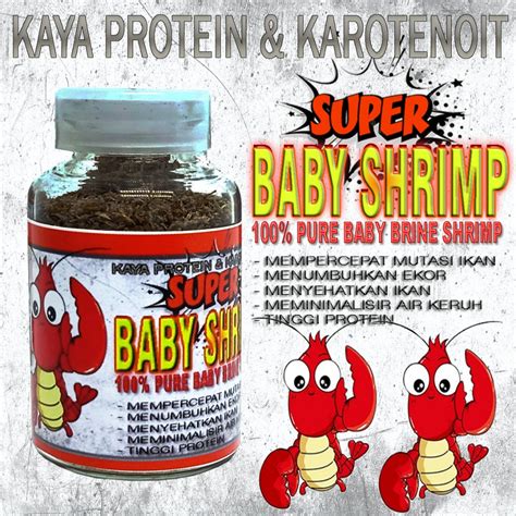 Jual PREMIUM BABY SHRIMP SUPER BAYI BABY UDANG MAKANAN CUPANG GUPPY