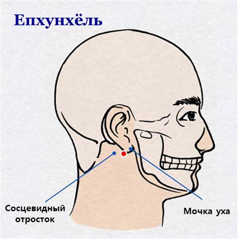 Точечный массаж для снятия шума в ушах