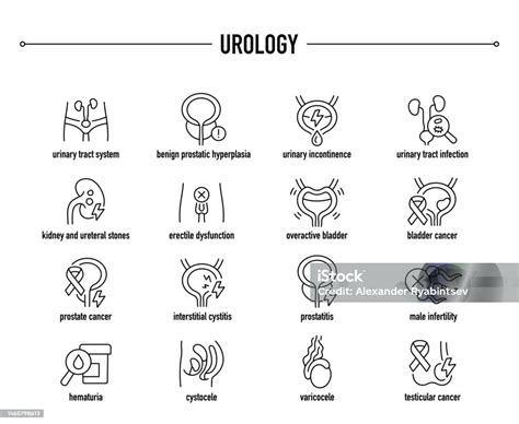 Common Urology Diseases Vector Icon Set Line Editable Medical Icons