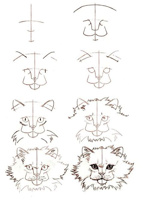 20 Easy Cat Drawing Step By Step Tutorials Simple Cat Sketch