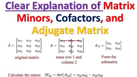 Clear Explanation Of Matrix Minors Cofactors And Adjugate Matrix