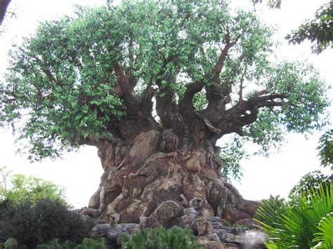 Tree of Life