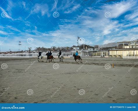 Arabian Horses Galloping on the Beach Editorial Photography - Image of ...