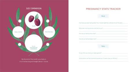 The First Time Mom S Pregnancy Journal Monthly Checklists Activities And Journal Prompts By