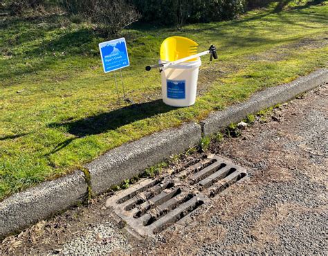 Adopt A Drain Washington Washington Stormwater Center