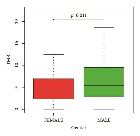 A Correlation Between Tumor Mutation Burden And Survival Rate B Download Scientific