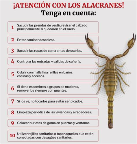 Recomendaciones para la prevención de picaduras de Alacranes Funes Hoy