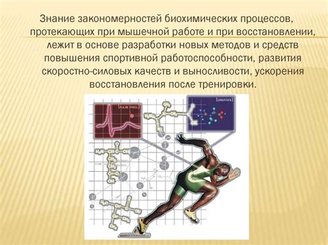 Биохимия спорта - презентация онлайн