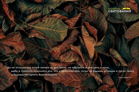 Библейские обетования | ВКонтакте