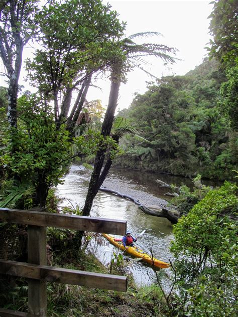 Tramping In The New Zealand Backcountry Nz Bush Adventures Tramping