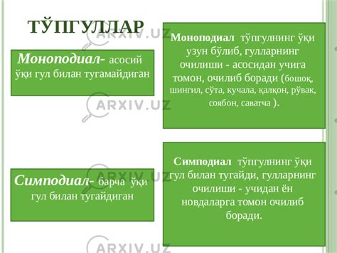 Генератив органлар - Botanika - Slaydlar