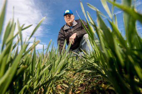 Two States Are Leading A Cover Crop Revival Civil Eats