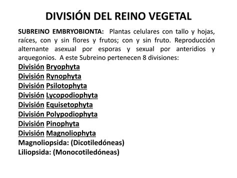 Reino Vegetal I Presentacion De Botanica Ppt