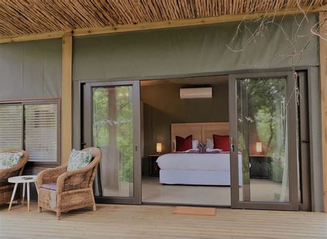 19 Kruger National Park Safari Packages and Lodges