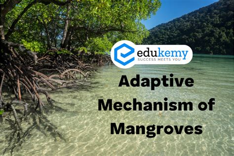 Adaptive Mechanism of Mangroves - UPSC Environment Notes