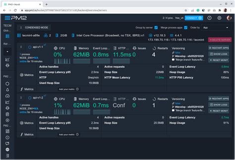 How To Monitor Node Js Applications Using Pm2 Web Dashboard Designlinux