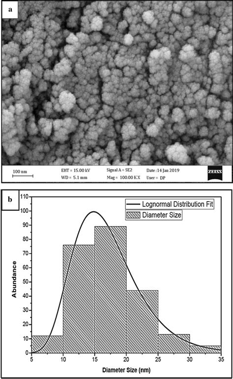 A The Field Emission Scanning Electron Microscopy Fesem Image Of γ Fe