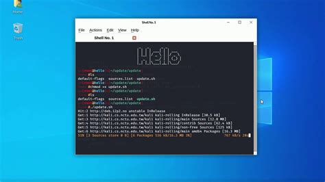 Kali Linux Updating Bash Script Youtube