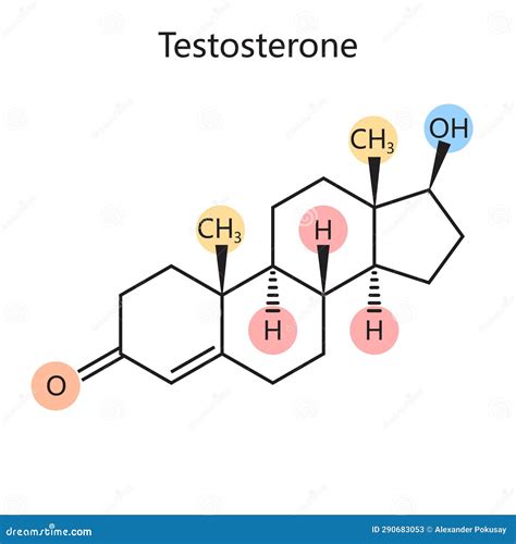 Testosterone Male Sex Hormone Androgen Molecule Skeletal Formula Royalty Free Stock