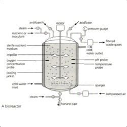 Fermentation Bioreactor Design - Fermentation Bioreactor Design Exporter, Importer, Manufacturer ...