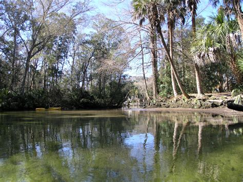 Maza Studio Kayaking Down The Weeki Wachee