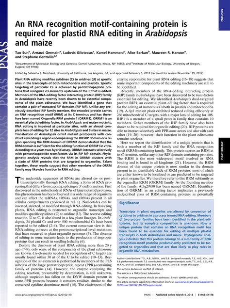 PDF An RNA Recognition Motif Containing Protein Is Required For