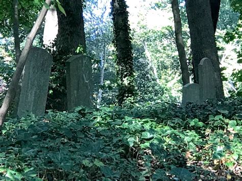 Tilley Cemetery In Locust Valley New York Find A Grave Cemetery