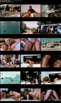 Movies Videos Excellent Story Porn Collections 70 S 80 S Page 12