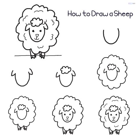 How To Draw A Sheep Easy Tutorial - Toons Mag