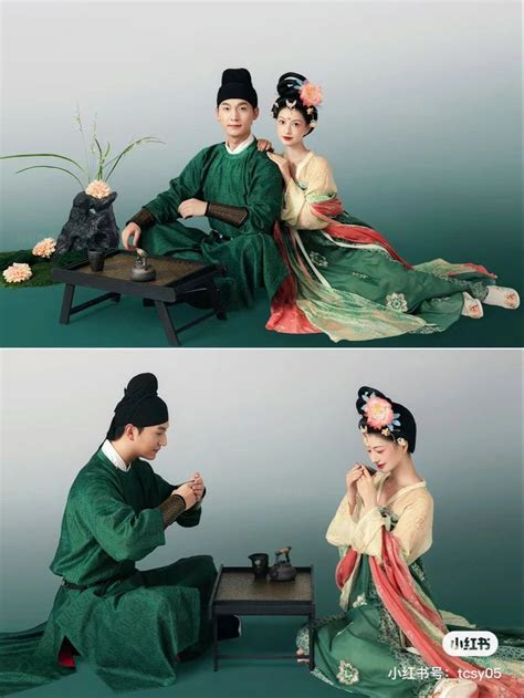 Hanfu漢服 Chinese Tang Dynasty Traditional Clothing Hanfu Hanfu