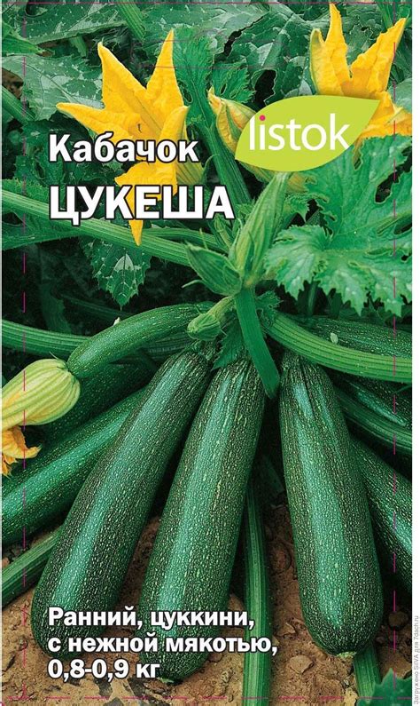 Кабачок цуккини: описание сортов, правила выращивания и ухода с фото