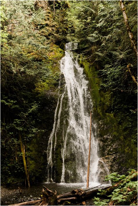 Olympic National Park - Forthright Photo - PNW Adventure Wedding