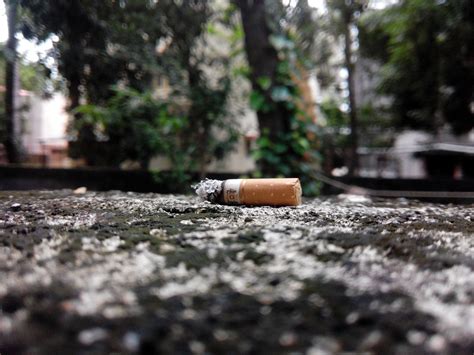 Usina De Reciclagem Transforma Bituca De Cigarro Em Papel Muda Tudo