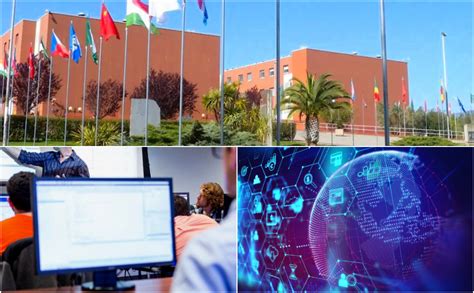 Laureati In Informatica E Ingegneria Dellunical Tra I Pi Richiesti D