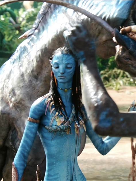 Neytiri | Avatar characters, Avatar movie, Avatar picture