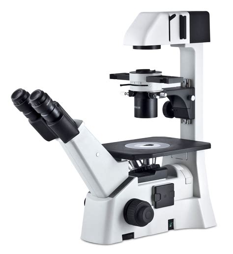 Microscopio Trinocular Biológico Invertido Motic AE 31E OneLab