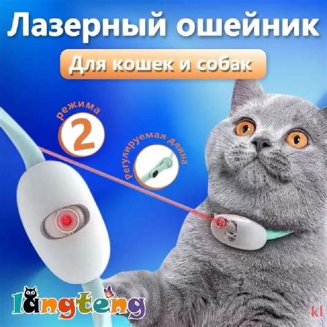 Ошейник для кошек с лазерным лучом / Игрушка интерактивная для животных ...