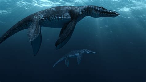 Фото: Морские динозавры 3D: Путешествие в доисторический мир / Кадр из ...
