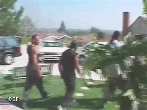 Gangsta Bang 6 Free Porn Video D1 XHamster