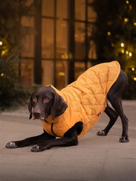 Куртка для собаки - bananadog