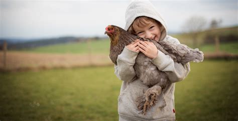 La Vie La Ferme Paysannes Paysans Suisses