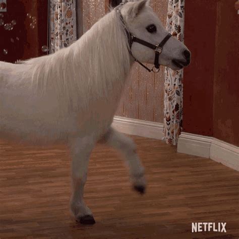 Pony Horse GIF - Pony Horse Neigh - Discover & Share GIFs