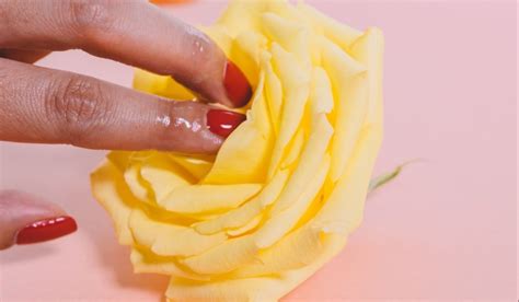 La vulva y la vagina no son lo mismo 8 más datos sobre el órgano genital femenino Pictolic