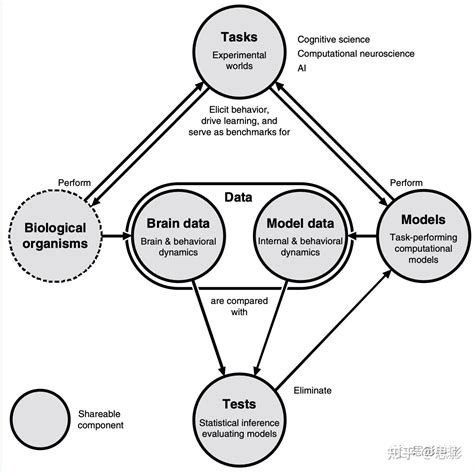 Nature Neuroscience：认知计算神经科学 知乎