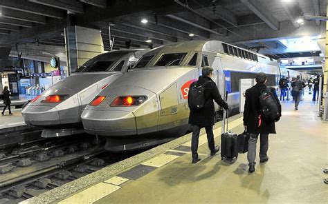 Chat écrasé par un TGV le parquet requiert la relaxe de la SNCF Le